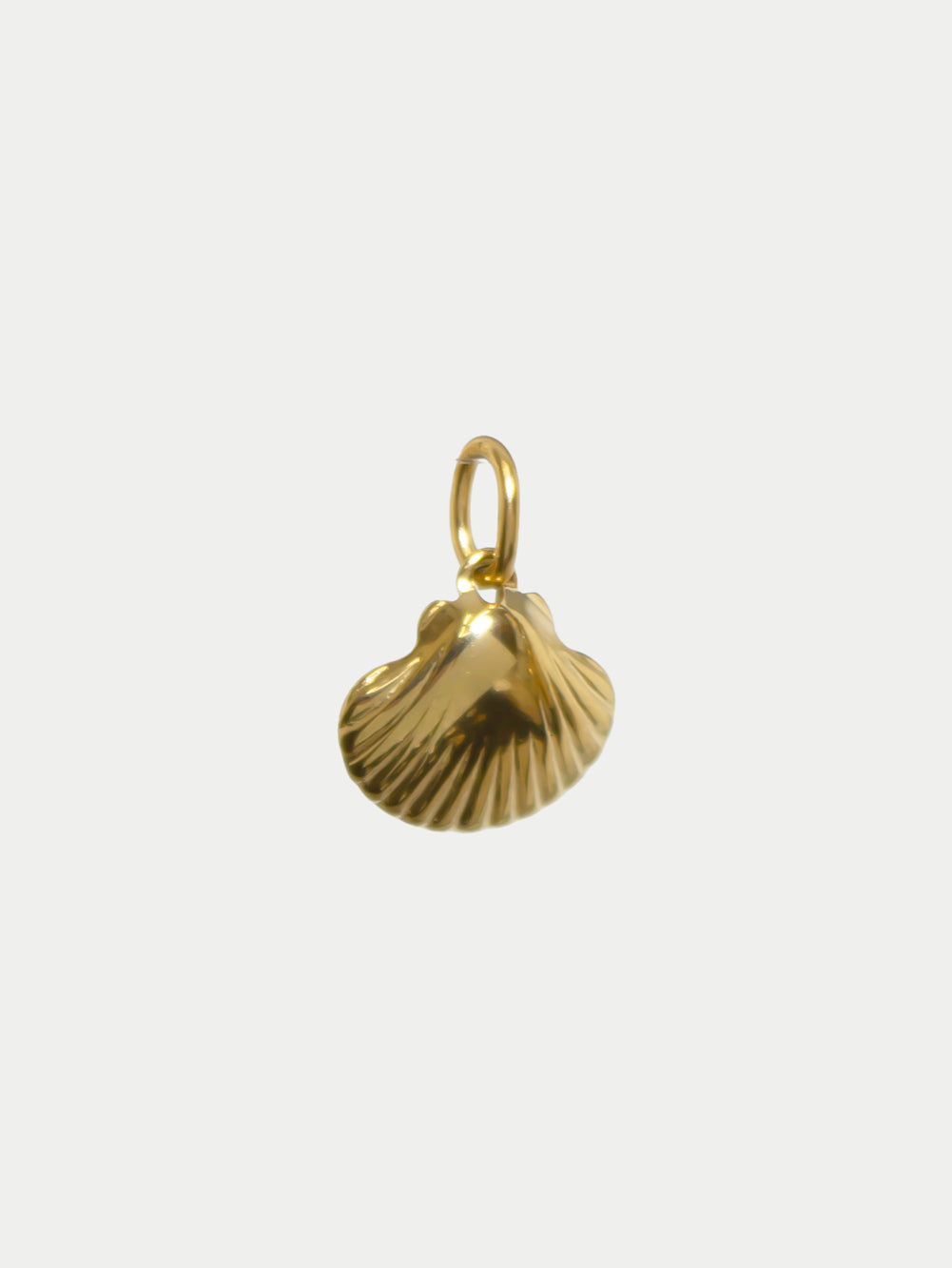 Charm Conchiglia in acciaio inossidabile 316L