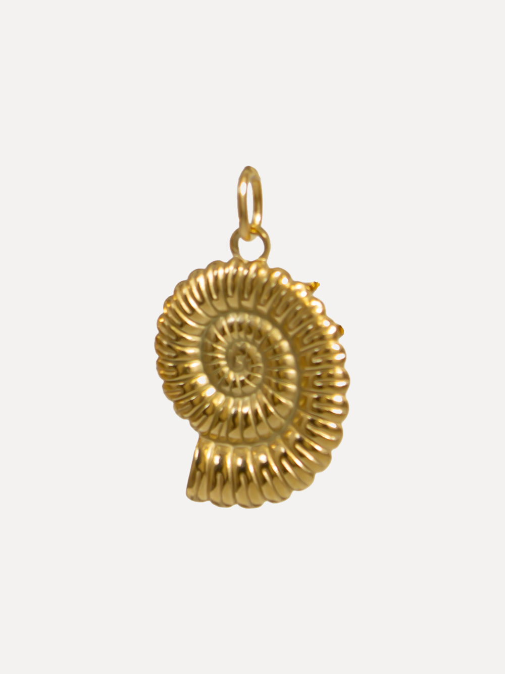 Charm Nautilus